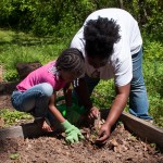 Westview Community Garden Spring Planting