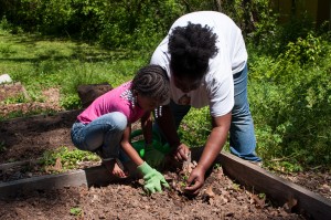 Westview Community Garden Spring Planting