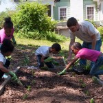 Westview Community Garden Spring Planting