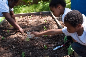 Westview Community Garden Spring Planting