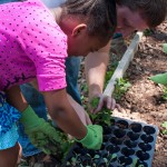 Westview Community Garden Spring Planting