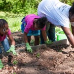 Westview Community Garden Spring Planting