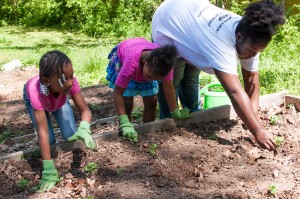 Westview Community Garden Spring Planting