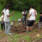 Garden Planting