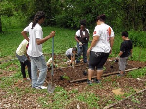Garden Planting