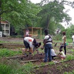 Garden Planting