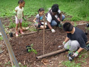 Garden Planting