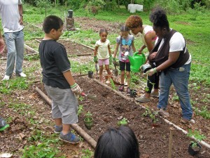 Garden Planting