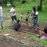 Garden Planting