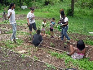 Garden Planting