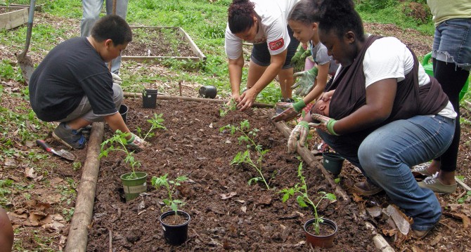 Garden Planting