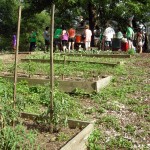 Park Pride Community Garden Tour