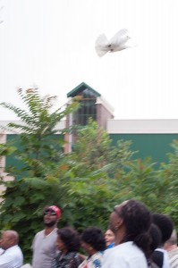 2014 Westview Summer Solstice Celebration