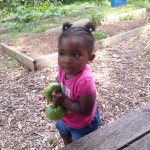 Westview Garden Harvest