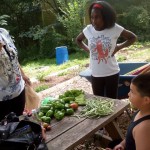 Westview Garden Harvest