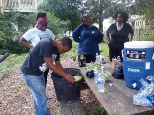 Westview Garden Harvest