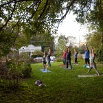 Sunset Yoga at Stokes Park