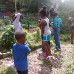 Kids Stop by Community Garden