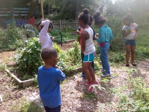 Kids Stop by Community Garden