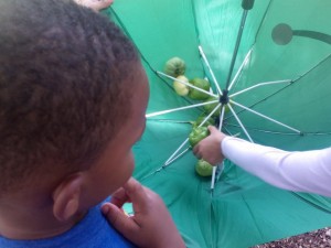 Kids Stop by Community Garden