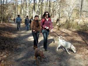 Sweetwater Creek State Park Hike