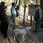 Sweetwater Creek State Park Hike