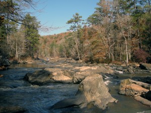 Sweetwater Creek State Park Hike