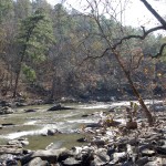 Sweetwater Creek State Park Hike