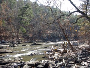 Sweetwater Creek State Park Hike