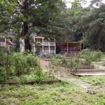 Westview Community Garden