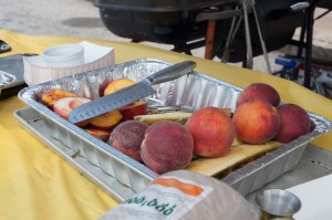 2015 Westview Summer Solstice Celebration
