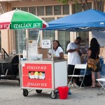 2015 Westview Summer Solstice Celebration