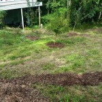 Westview Community Garden Work Day