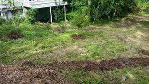 Westview Community Garden Work Day