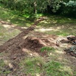 Westview Community Garden Work Day