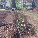 Westview Community Garden Work Day