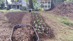 Westview Community Garden Work Day