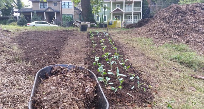 Westview Community Garden Work Day