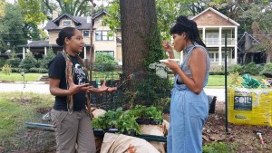 Westview Community Garden Work Day
