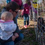 Enota Park Goats