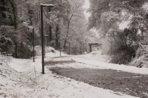 Westview Snow Sceneries