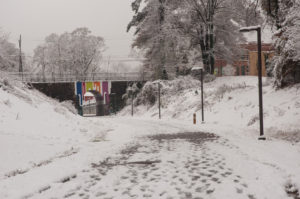 Westview Snow Sceneries