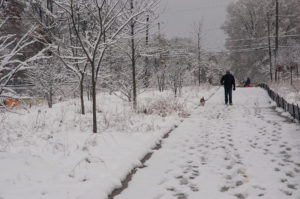 Westview Snow Sceneries